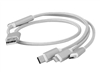 USB Cables –  – CC-USB2-AM31-1M-S
