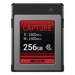 Otros –  – HS-CFE-E300/256G