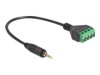 Câbles audio –  – 66256