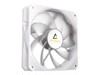 พัดลมคอมพิวเตอร์ –  – P12R PWM ARGB WHITE