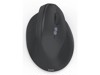 Mice –  – 173092