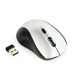 Mouse																																																																																																																																																																																																																																																																																																																																																																																																																																																																																																																																																																																																																																																																																																																																																																																																																																																																																																																																																																																																																																					 –  – MUSW-4B-02-BS