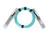 Fiiber –  – QSFP-100G-AOC2M-BO